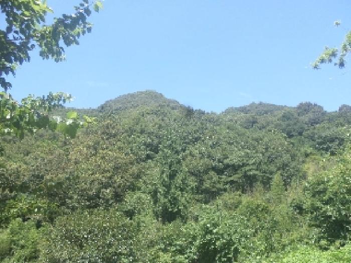 전북특별자치도 완주군 구이면 백여리 251 전 경매 사진 32