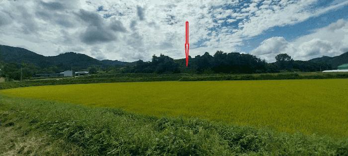 전북 진안군 임야