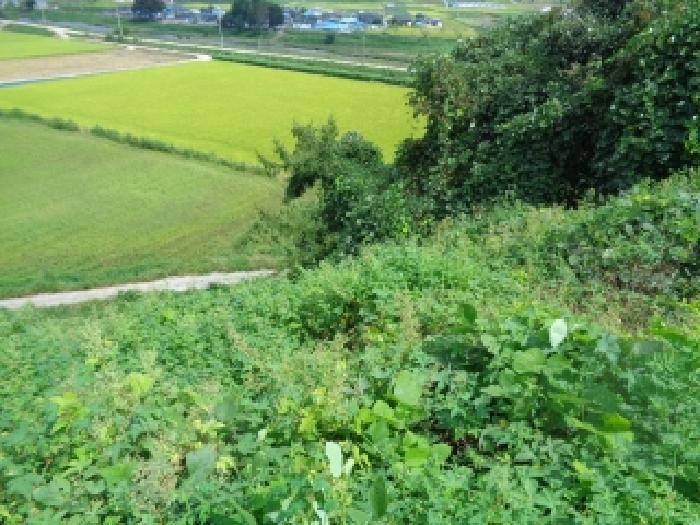 전북특별자치도 진안군 마령면 계서리 산95-1 임야 경매 사진 13
