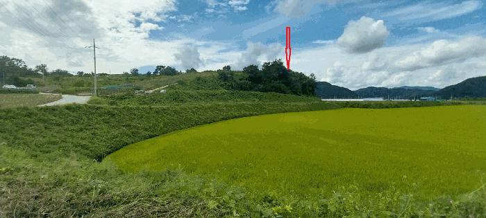 전북특별자치도 진안군 마령면 계서리 산95-1 임야 경매 사진 4