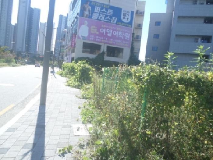 전북특별자치도 전주시 완산구 효자동2가 1358-2 대지 경매 사진 10