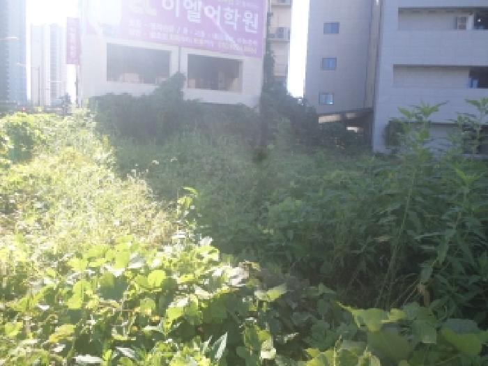 전북특별자치도 전주시 완산구 효자동2가 1358-2 대지 경매 사진 11