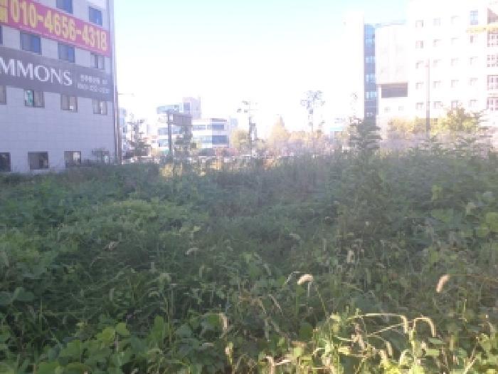 전북특별자치도 전주시 완산구 효자동2가 1358-2 대지 경매 사진 12
