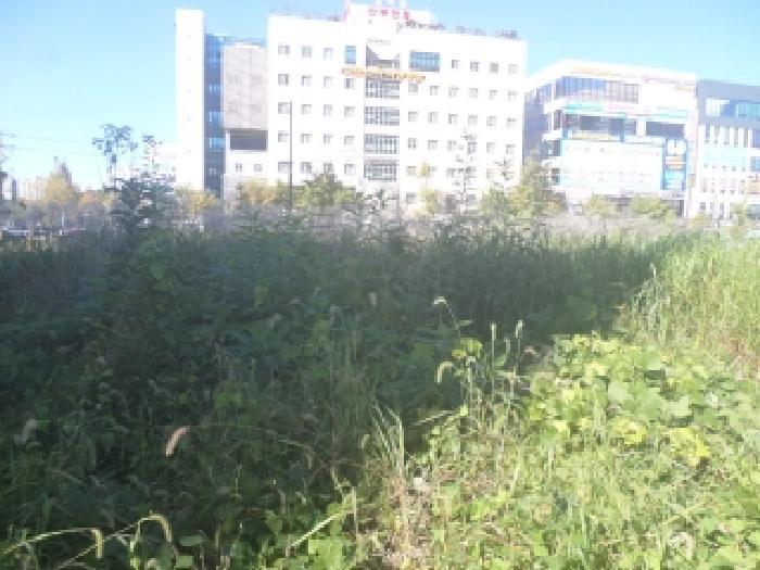 전북특별자치도 전주시 완산구 효자동2가 1358-2 대지 경매 사진 13