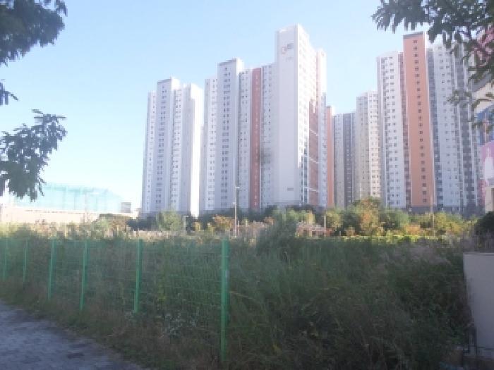 전북특별자치도 전주시 완산구 효자동2가 1358-2 대지 경매 사진 9