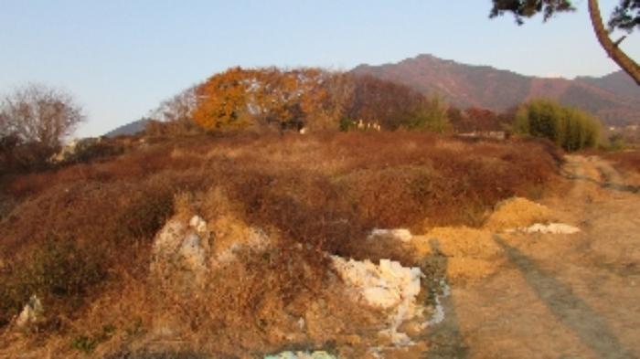 경상남도 창녕군 영산면 서리 307 답 경매 사진 39