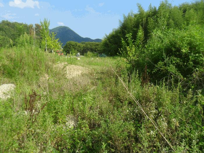 경상남도 창녕군 영산면 서리 313 상가 경매 사진 25
