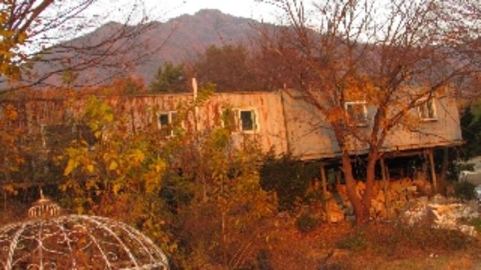 경상남도 창녕군 영산면 서리 317-4 전 경매 사진 55