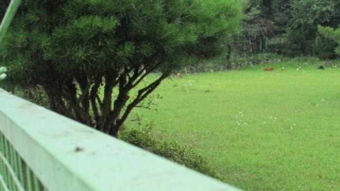 경상남도 창녕군 계성면 봉산리 1629 펜션(캠핑장) 경매 사진 24