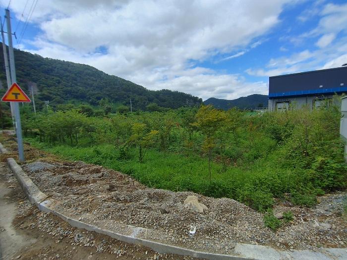 경상남도 밀양시 산외면 금천리 181-1 임야 경매 사진 1