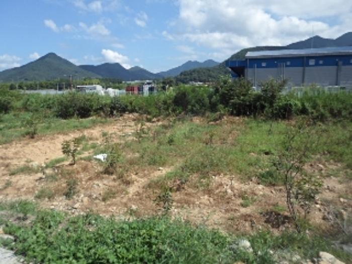 경상남도 밀양시 산외면 금천리 181-1 임야 경매 사진 26