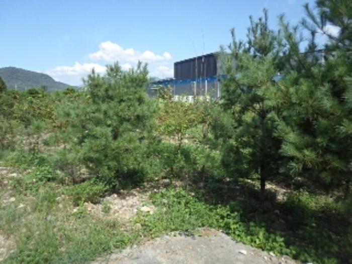 경상남도 밀양시 산외면 금천리 690-1 전 경매 사진 32