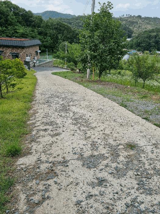 충청남도 천안시 동남구 광덕면 신덕리 206-4 임야 경매 사진 1