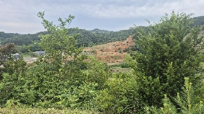 충청남도 천안시 동남구 광덕면 신덕리 206-4 임야 경매 사진 14