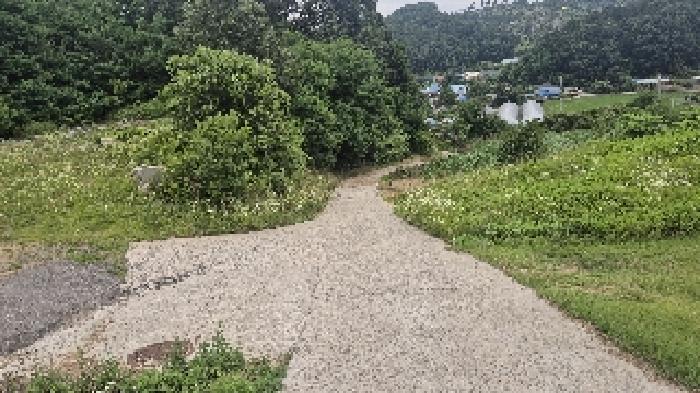 충청남도 천안시 동남구 광덕면 신덕리 206-4 임야 경매 사진 23
