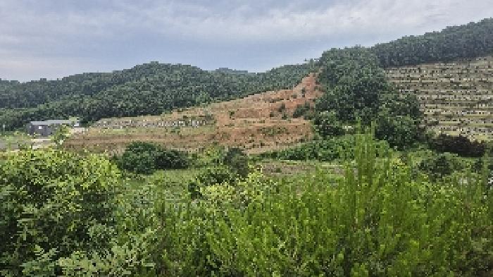 충청남도 천안시 동남구 광덕면 신덕리 206-4 임야 경매 사진 25