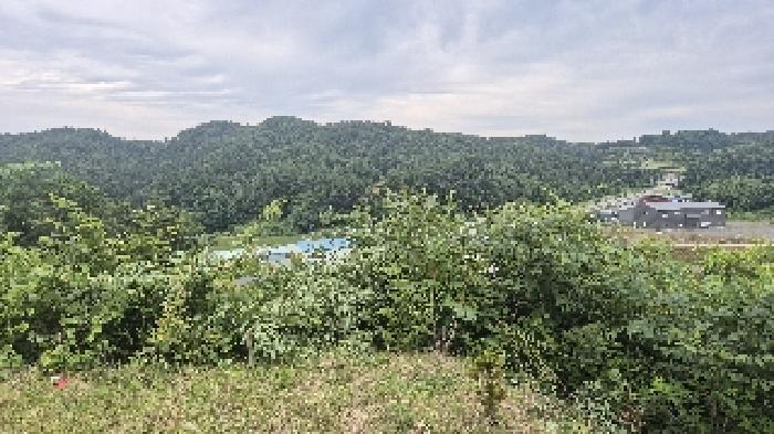 충청남도 천안시 동남구 광덕면 신덕리 206-4 임야 경매 사진 26
