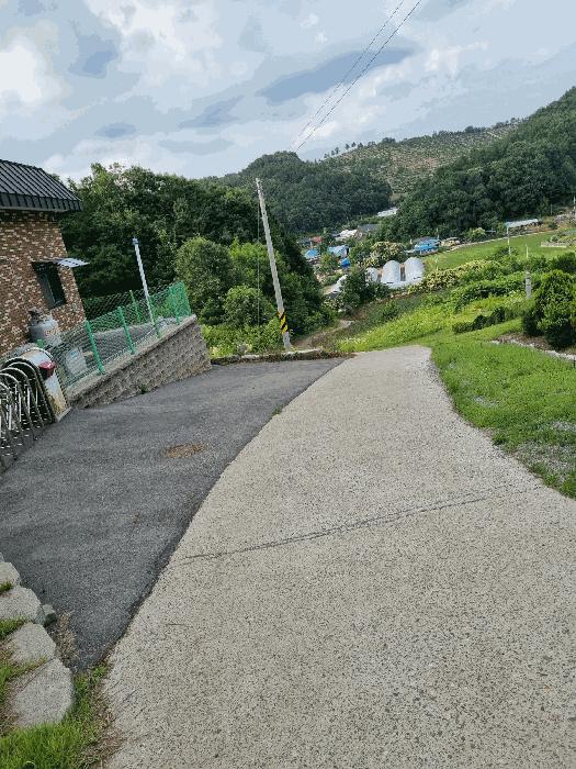 충청남도 천안시 동남구 광덕면 신덕리 206-4 임야 경매 사진 6