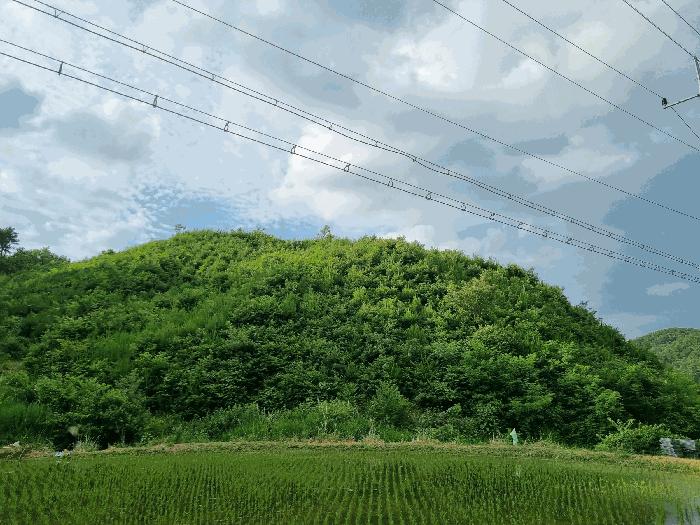 충청남도 천안시 동남구 광덕면 신덕리 206-4 임야 경매 사진 7