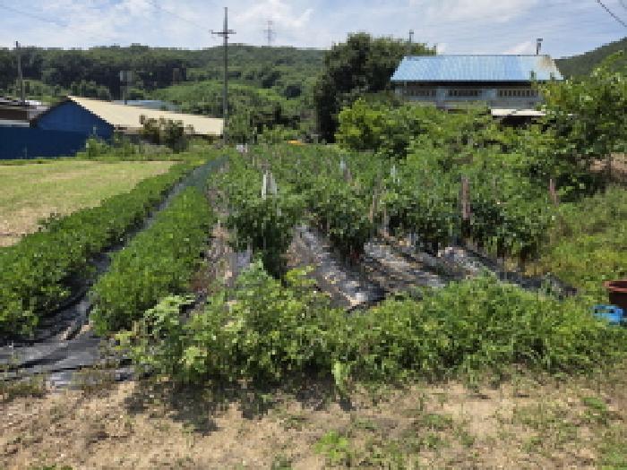 충청남도 아산시 음봉면 산정리 191-2 전 경매 사진 10