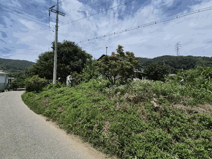 충청남도 아산시 음봉면 산정리 191-2 전 경매 사진 3