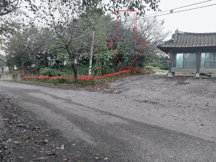 전북특별자치도 부안군 변산면 격포리 188-2 답 경매 사진 5