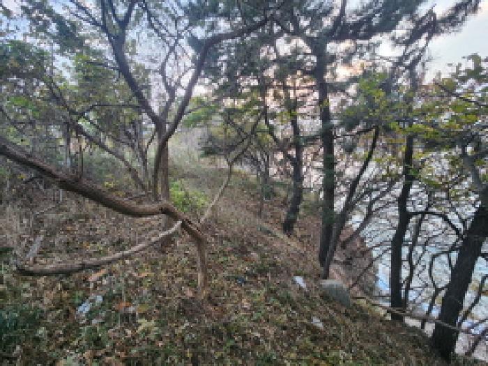 전북특별자치도 부안군 변산면 격포리 651-59 전 경매 사진 10