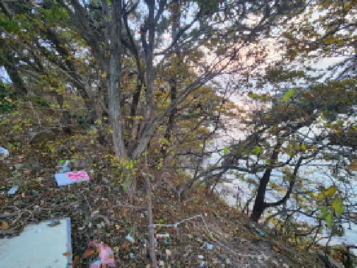 전북특별자치도 부안군 변산면 격포리 651-59 전 경매 사진 9
