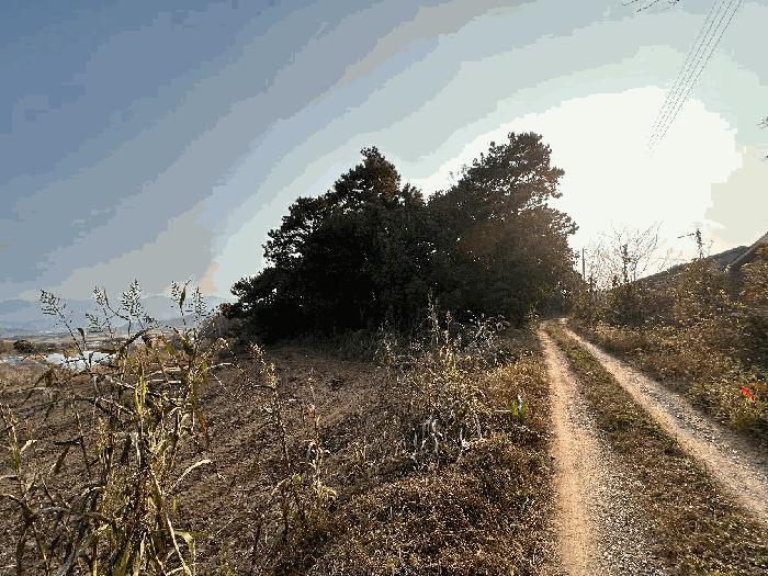 전북특별자치도 정읍시 북면 한교리 75-7 도로 경매 사진 4
