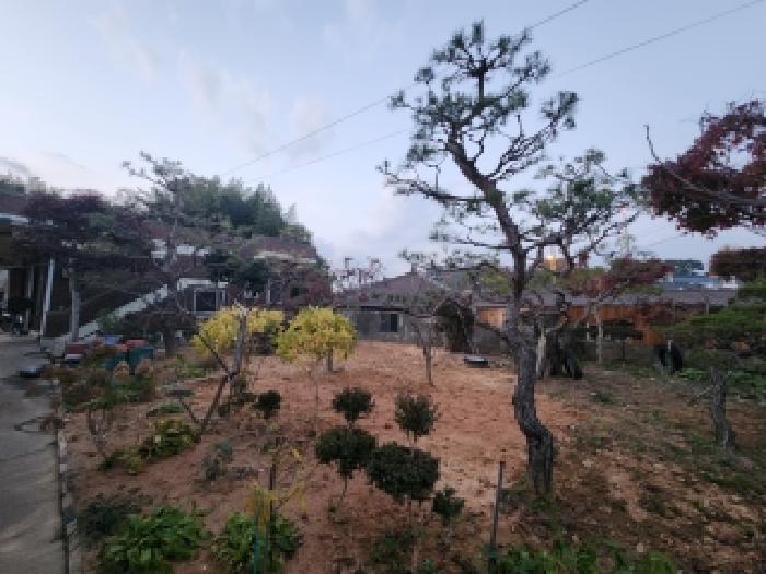 전북특별자치도 부안군 줄포면 파산리 809-2 답 경매 사진 31