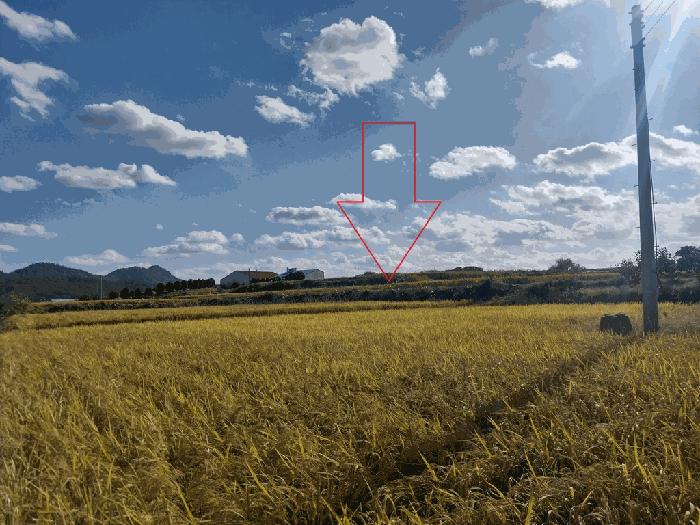 전북특별자치도 고창군 심원면 만돌리 204 전 경매 사진 2