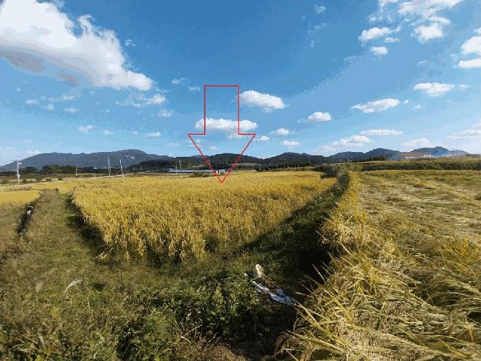 전북특별자치도 고창군 심원면 만돌리 204 전 경매 사진 3