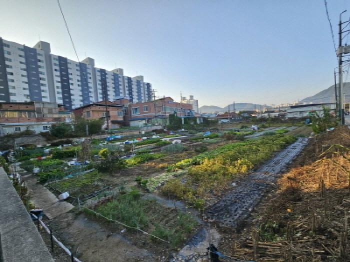 전북특별자치도 정읍시 상동 183-7 답 경매 사진 3