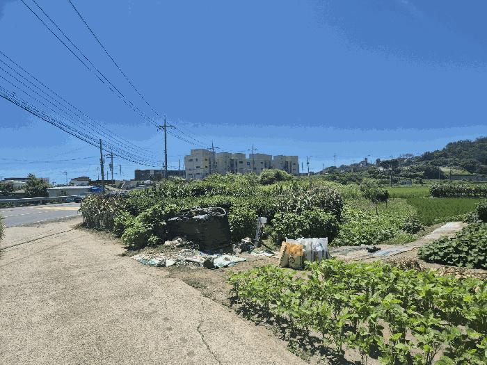 경상북도 포항시 남구 구룡포읍 구평리 712-3 전 경매 사진 1
