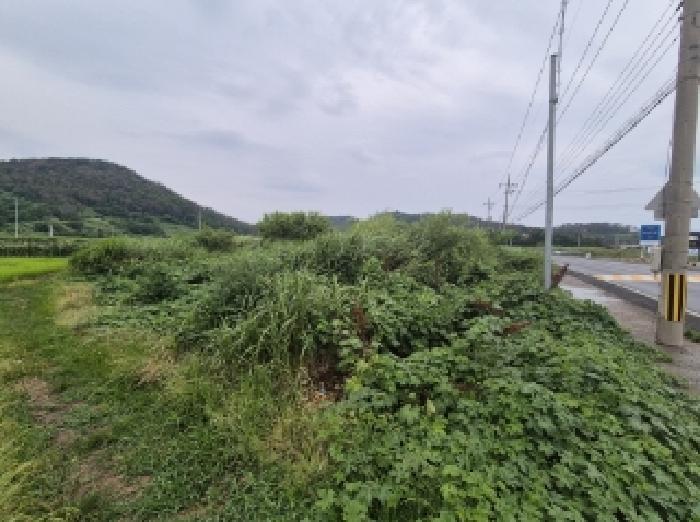 경상북도 포항시 남구 구룡포읍 구평리 712-3 전 경매 사진 7