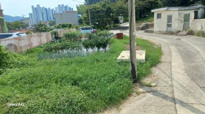 경상남도 거제시 일운면 지세포리 806-7 대지 경매 사진 8