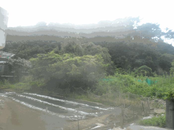 경상남도 거제시 일운면 지세포리 811-3 답 경매 사진 1