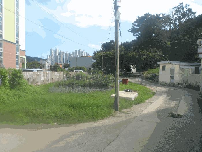 경상남도 거제시 일운면 지세포리 811-3 답 경매 사진 2