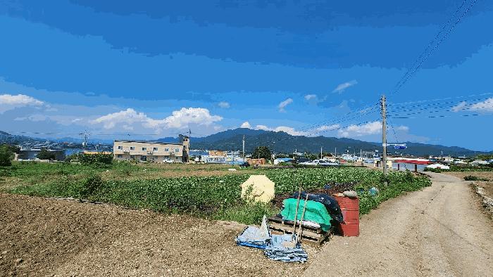 경상남도 고성군 거류면 신용리 279-1 전 경매 사진 2