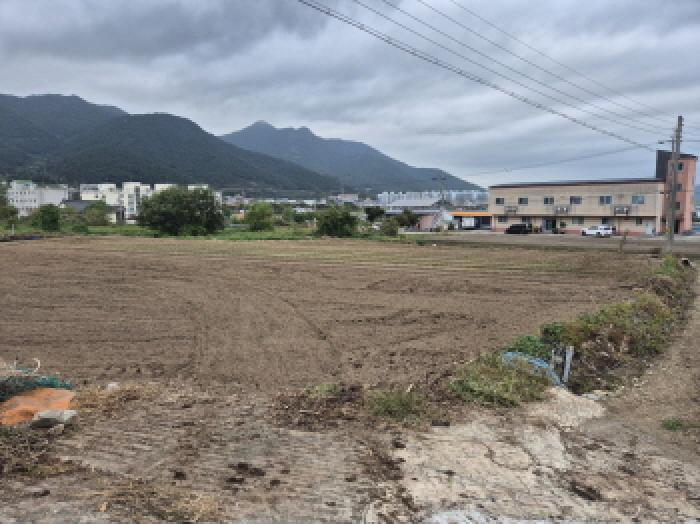 경상남도 고성군 거류면 신용리 279-1 전 경매 사진 3
