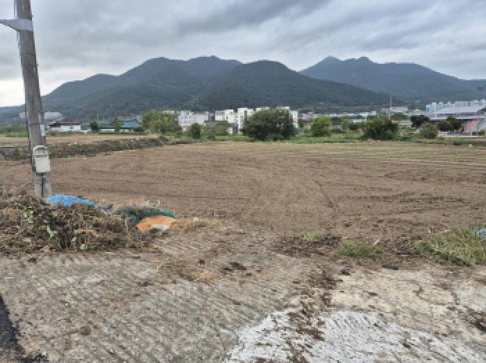 경상남도 고성군 거류면 신용리 279-1 전 경매 사진 4