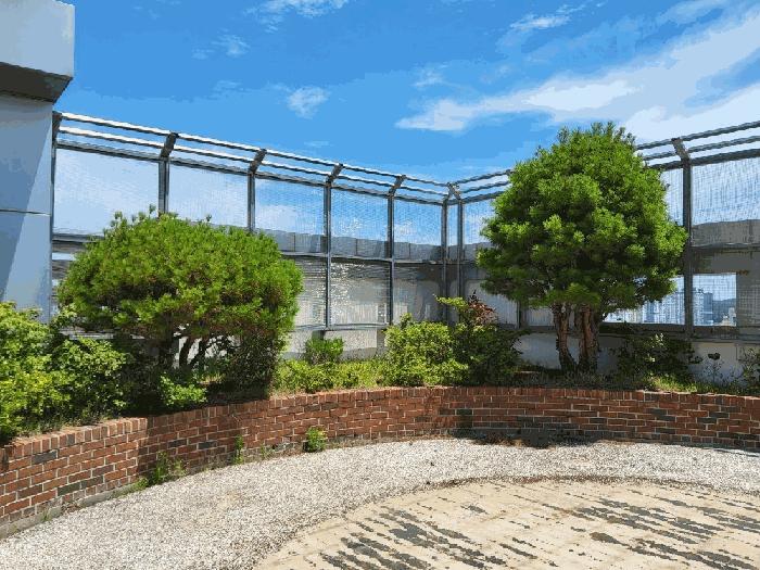 경상북도 포항시 북구 장성동 1526-1 병원 경매 사진 23
