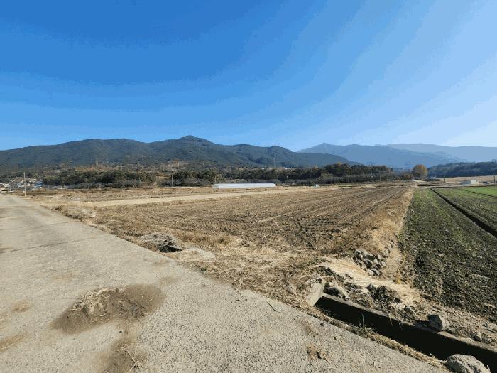 전남 구례군 답