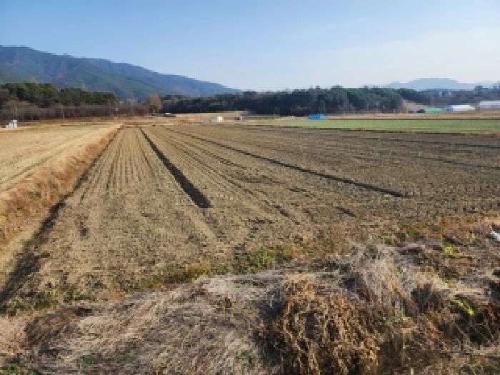 전라남도 구례군 광의면 수월리 513-8 답 경매 사진 4