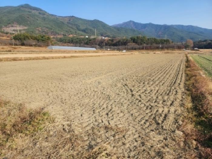 전라남도 구례군 광의면 수월리 513-8 답 경매 사진 5