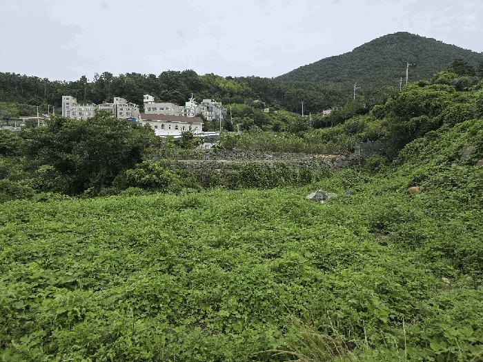경상남도 거제시 하청면 석포리 211 답 경매 사진 2