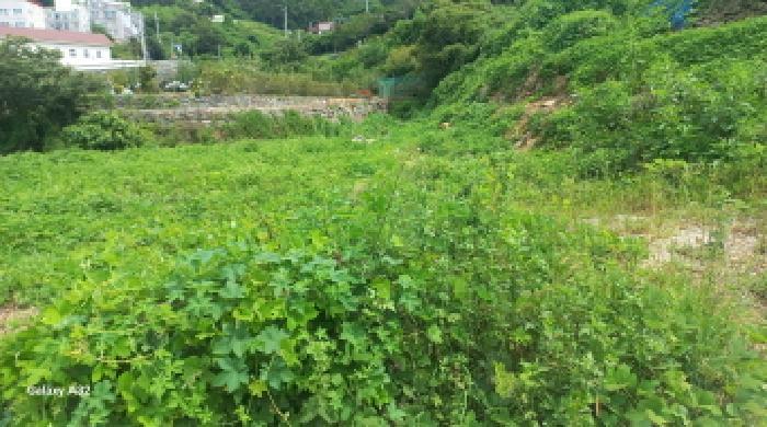 경상남도 거제시 하청면 석포리 211 답 경매 사진 5