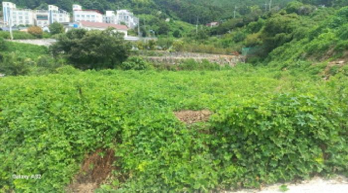 경상남도 거제시 하청면 석포리 211 답 경매 사진 6