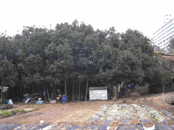 전라남도 순천시 연향동 317-6 답 경매 사진 12
