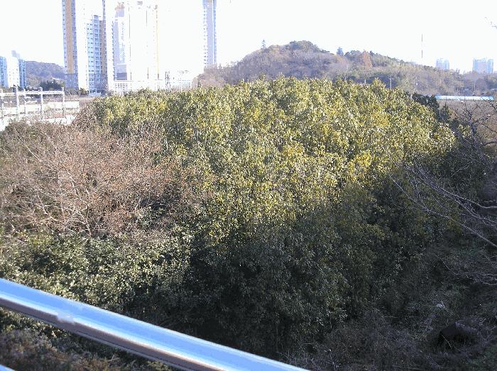 전라남도 순천시 연향동 317-6 답 경매 사진 13